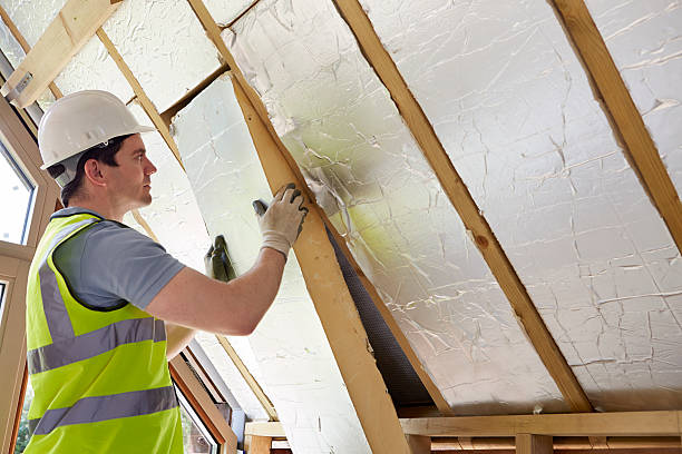 Best Spray Foam Insulation  in Edinburg, VA