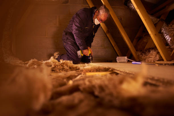 Best Best Insulation Companies  in Edinburg, VA